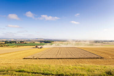 Field of wheat being harvested by combine harvester and tractor - SMAF02499