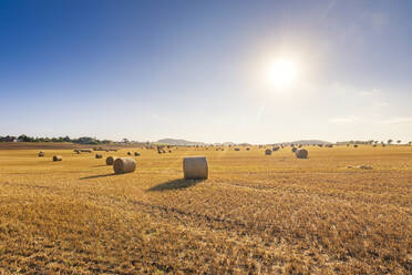 Heuballen auf einem landwirtschaftlichen Feld an einem sonnigen Tag - SMAF02503