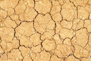 Rissiger, trockener Boden in der Dürre - SMAF02509