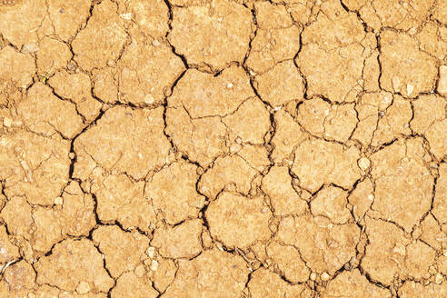 Cracked dry ground in drought - SMAF02509