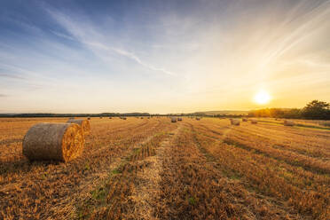 Harvested bales of hay on field at sunset - SMAF02521