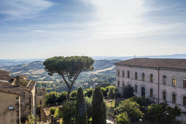 Italien, Toskana, Manciano, Öffentlicher Garten an einem sonnigen Sommertag - MAMF02571