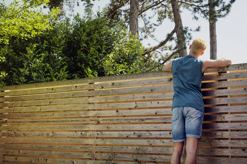Man looking over wooden fence at back yard - PWF00683