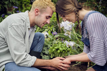 Couple looking at plant in back yard - PWF00707