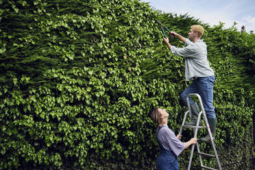 Woman supporting ladder with boyfriend pruning hedge - PWF00716