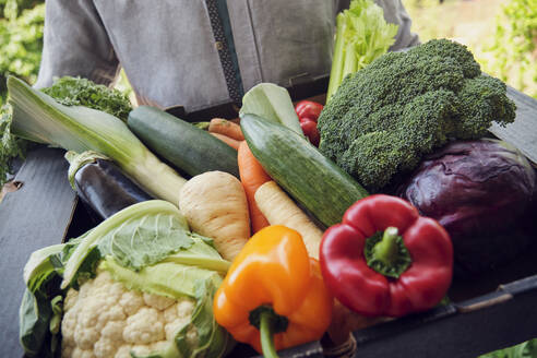 Fresh and organic vegetables in box held by delivery person - PWF00747