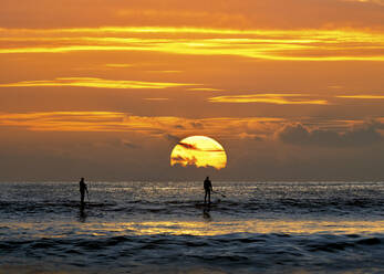 Silhouette eines Mannes auf einem Paddelbrett bei Sonnenuntergang, Pembrokeshire, Wales - ALRF01941