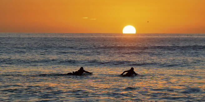 Silhouette Männer beim Surfen im Meer bei Sonnenuntergang, Pembrokeshire, Wales - ALRF01943