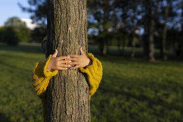 Hands of girl hugging tree in park - VIVF00332