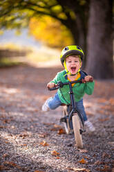 Ganzkörperaufnahme eines fröhlichen Jungen mit gelbem Helm, der im Herbst in einem Park mit gefallenen Blättern Fahrrad fährt und in die Kamera schaut - ADSF43000