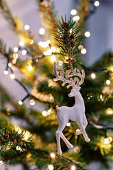 White deer decoration hanging on branch of coniferous tree with glowing fairy light during Christmas holidays - ADSF43048