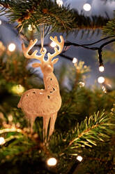 Weiße Hirschdekoration am Zweig eines Nadelbaums mit leuchtender Lichterkette während der Weihnachtsferien - ADSF43051