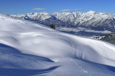 Österreich, Tirol, Kaninchenspuren im Schnee - ANSF00240