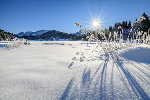 Deutschland, Bayern, Sonnenaufgang über schneebedecktem See in den bayerischen Alpen - ANSF00254
