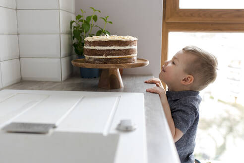 Junge schaut sich Kuchen in der Küche an - VIVF00367