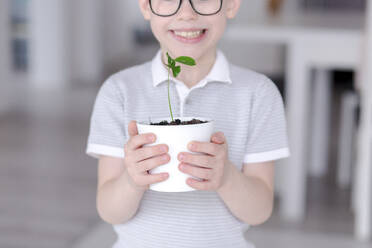 Lächelnder Junge mit Topfpflanze zu Hause stehend - VIVF00411
