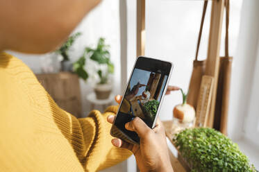 Junge Frau fotografiert zu Hause Pflanzen mit ihrem Smartphone - ALKF00080