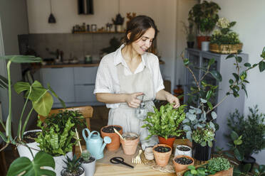 Smiling woman spraying water on plant at home - VBUF00225