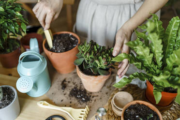 Frau mit Gartenkelle und Pflanzung in Topf zu Hause - VBUF00230