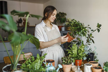 Woman examining potted plant at home - VBUF00234