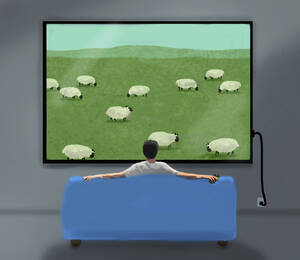 Illustration eines Mannes, der ein Fernsehprogramm ansieht, das eine Herde grasender Schafe zeigt - GWAF00026
