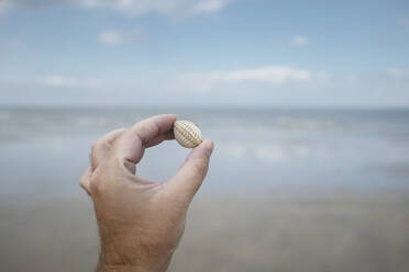 Hand of man holding seashell at beach - CHPF00856