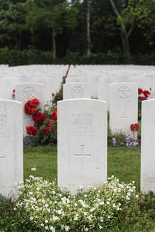 Grabsteine mit Blumen auf dem Friedhof - CHPF00870