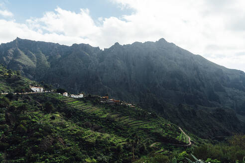 Spanien, Kanarische Inseln, Masca, Luftaufnahme von Terrassenfeldern im Macizo de Teno-Gebirge - DAMF01201