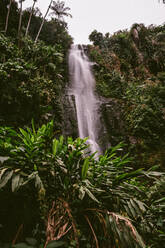 Von unten des malerischen Chilasco-Wasserfalls, der durch eine steile Felswand inmitten üppiger tropischer Bäume in Guatemala fließt - ADSF43113