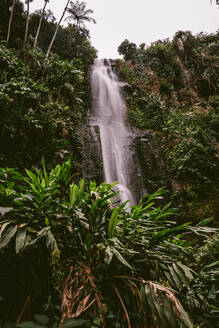 Von unten des malerischen Chilasco-Wasserfalls, der durch eine steile Felswand inmitten üppiger tropischer Bäume in Guatemala fließt - ADSF43113