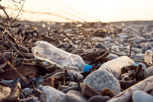 Plastic bottles discarded on pebble coast among tree branches on sunny day in Batumi - ADSF43162