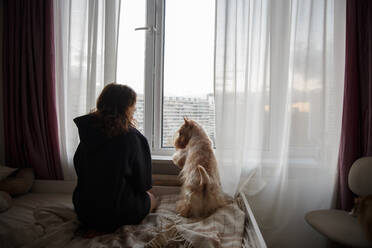 A girl and a dog on a large bed in the room look out the window - CAVF96586