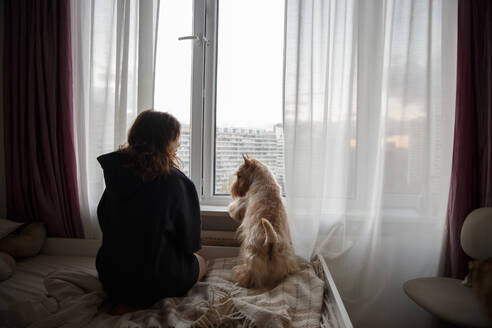 Ein Mädchen und ein Hund auf einem großen Bett im Zimmer schauen aus dem Fenster - CAVF96586