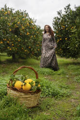 Basket of oranges with woman standing in background - NJAF00210
