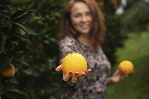 Ältere Frau hält frische Orangen in der Hand - NJAF00215