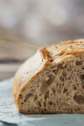 Nahaufnahme von frisch gebackenem Sauerteigbrot - ONAF00394