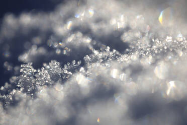 Macro photography of snow crystals - JTF02300