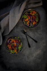 Studioaufnahme von zwei Tellern mit verzehrfertigem veganem Salat vor schwarzem Hintergrund - LVF09273