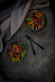 Studio shot of two plates of ready-to-eat vegan salad lying against black background - LVF09273