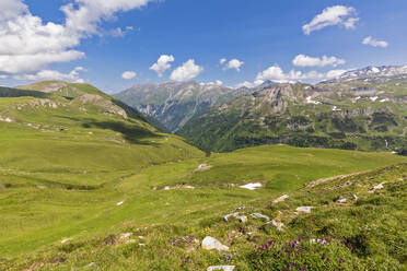 Österreich, Salzburg, Blick auf die europäischen Alpen im Sommer - FOF13424