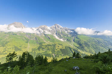 Österreich, Salzburg, Blick auf ein grünes Sommertal in den europäischen Alpen - FOF13426