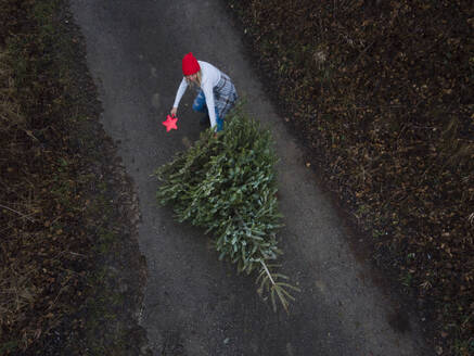 Woman pulling Christmas tree on footpath - HMEF01511
