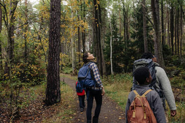 Parents exploring forest with children while walking on trail during vacation - MASF34653