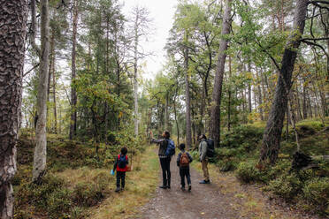 Parents showing trees to children while hiking in forest during vacation - MASF34654