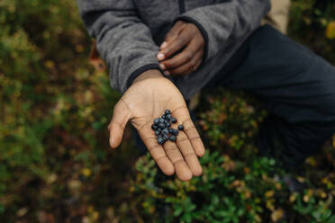 Boy showing fresh blueberries on palm in forest during vacation - MASF34657