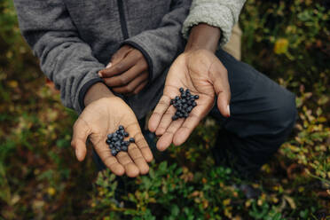 Father and son showing blueberries on palms in forest during vacation - MASF34658