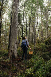 Rückansicht einer Frau mit Korb bei der Erkundung eines Waldes im Urlaub - MASF34676