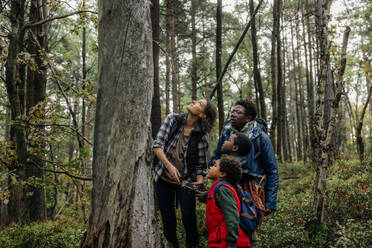 Mutter schaut nach oben, während sie mit ihrer Familie im Urlaub im Wald in der Nähe eines Baumes steht - MASF34681