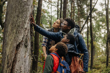 Vater zeigt Baum, während er mit seiner Familie im Urlaub im Wald spricht - MASF34682