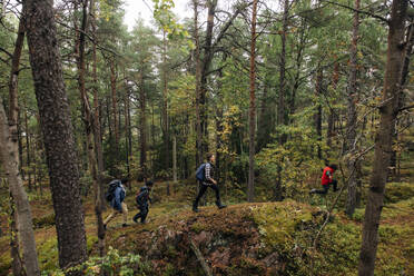 Hohe Winkel Ansicht der Familie Wandern im Wald im Urlaub - MASF34697